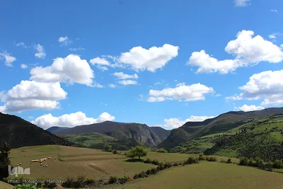 لبخند طبیعت در جلگه گیلان