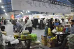 نمایشگاه شمیم حسینی ـ اهواز