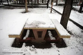 بارش برف زمستانی در تهران