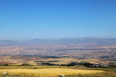 برداشت خوشه های طلایی - شهرستان اهر