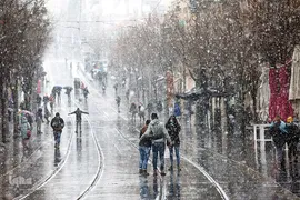 بارش کم سابقه برف در بیت المقدس