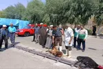 نذر قربانی مردم ساوه به نیت سلامتی رهبر انقلاب در هفته وحدت