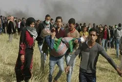 Tel Aviv Must Be Held Accountable for Gaza Killings: HRW