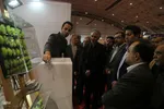 افتتاحیه نمایشگاه طلا و جواهر و رونمایی از سکه حرمین‎