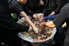 جاماندگان اربعین در حرم عبدالعظیم حسنی(ع)
