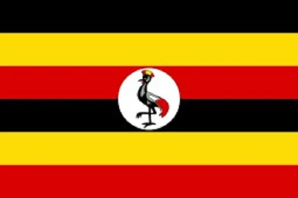 Uganda: a breve inaugurazione di nuovo liceo islamico