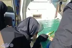 تشییع باشکوه ده آلاله سرخ از کربلای ایران؛ ساری در سالروز شهادت حضرت زهرا(س)