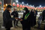 سیب بهشتی‎‎