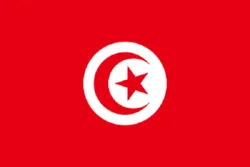 عربی نړۍ د بو عزیزی له ځان سوزولو نهه کاله وروسته
