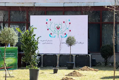 یک نهال، یک زندگی