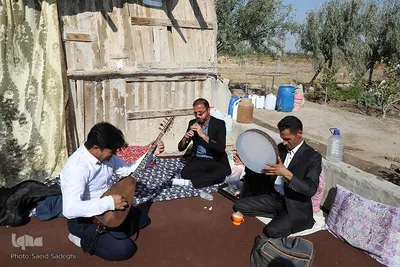 جشنواره پسته آذرشهر‎