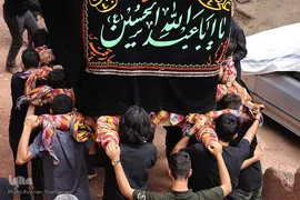 نخل‌گردانی روز عاشورا در روستای ابیانه