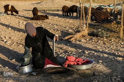 زندگی عشایری
