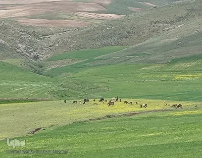 طبیعت زیبا و سحرانگیز مناطق گردشگری و روستایی اهر