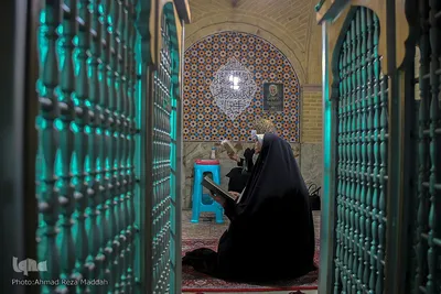 آستان مقدس هفت امامزاده(ع) در مسیر بین الحرمین  شیراز