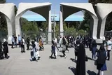 رتبه نخست دانشگاهیان تهران در مدیریت منابع پژوهشی