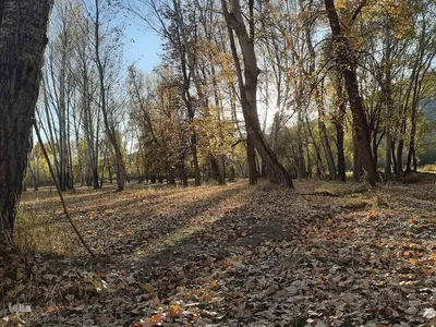 رنگ آمیزی طبیعت در مناطق روستایی شهرستان اهری