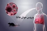احتمال وجود هانتاویروس در ایران نزدیک به صفر است