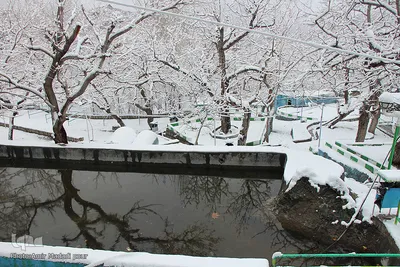 اولین برف زمستانی در روستای رزگ