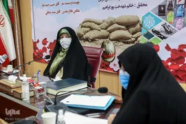 معصومه ابتکار، معاون امور زنان و خانواده ریاست جمهوری در نشست زنان و دفاع مقدس