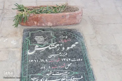 خفته در خاک؛ زنده در افلاک