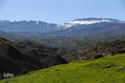 منطقه ثلاث باباجانی غرب کرمانشاه ۱