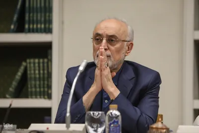 علی اکبر صالحی