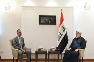 انحصار سلاح یک موضوع داخلی عراق است