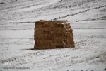 بارش برف پاییزی در ارتفاعات و مناطق روستایی اهر