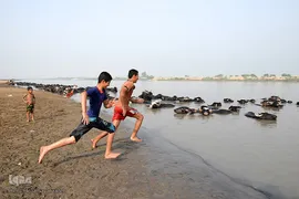 اینجا گاومیش‌آباد؛ محرومیت در خاک و آب و کسب روزی حلال
