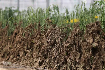 بازدید اعضای ستاد بحران آذربایجان شرقی از مناطق سیل زده شهرستان اهر‎