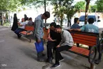 بیست‌ویکمین طرح اعطای مدرک تخصصی حفظ در اصفهان