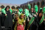 گلباران حرم های مطهر حضرت شاهچراغ (ع) و حضرت «ام احمد (س)»