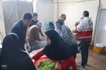 جشن ولادت حضرت فاطمه زهرا(س) در حسینیه هلال رضوی جمعیت هلال احمر