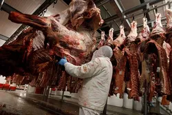 Griechenland: Keine Genehmigung mehr für koschere und Halal-Schlachtung
