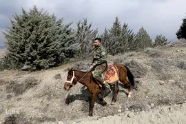 آیین درختکاری در پارک جنگلی  سد«لتیان» در شمال شرق استان تهران