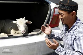 بازار قربانی عید قربان در کشورهای اسلامی