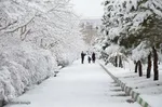 تبریز سپید پوش