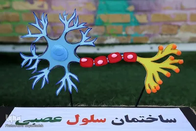 پخت کیک 14 متری به مناسبت میلاد امام حسین(ع) در اهواز