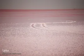 دریاچه حوض سلطان به رنگ سرخ