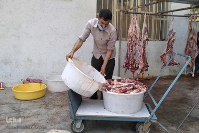 تهیه و توزیع گوشت نذری بین نیازمندان در عید قربان - شیراز