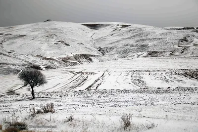 بارش برف پاییزی در ارتفاعات و مناطق روستایی اهر