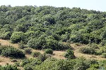 منطقه گردشگری خداآفرین در آذربایجان شرقی