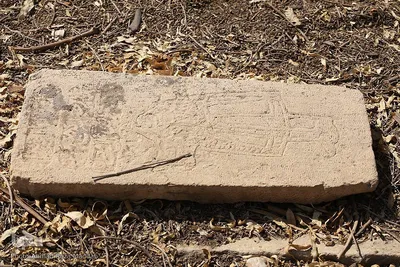 قبرستان دارالسلام شیراز
