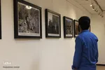 از قندهار تا شرهانی در قاب تصویر مبارزه