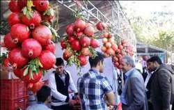 إیران: مهرجان وطني بعنوان 