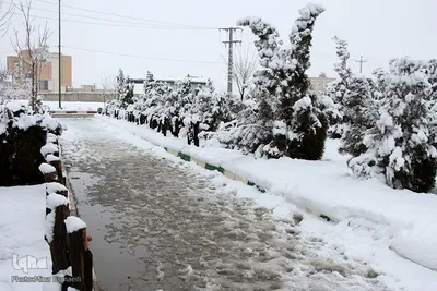 بارش اولین برف زمستانی در اراک