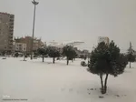 طبیعت برفی مناطق شهری و روستایی اهر