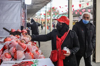 آیین افتتاح دهمین جشنواره «انار صد دانه یاقوت»