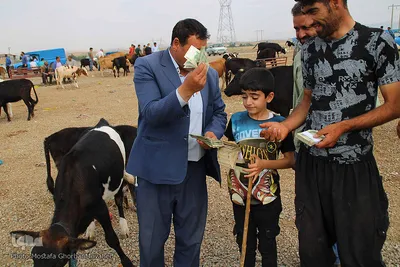 بازار دام دواب اهر در روز عید قربان